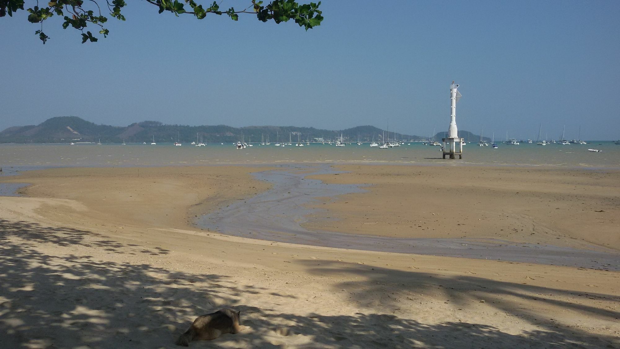 Luna Guesthouse And Travel Rawai エクステリア 写真